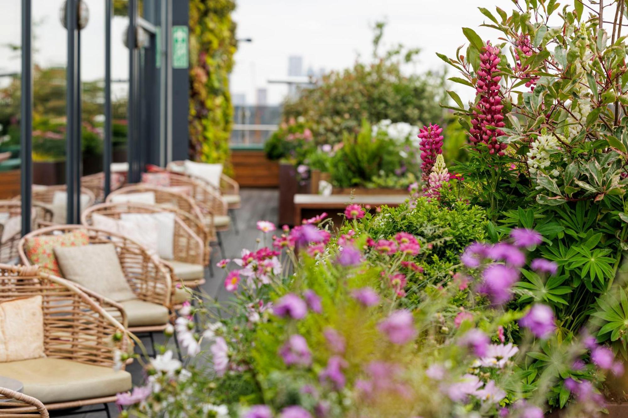 Treehouse London