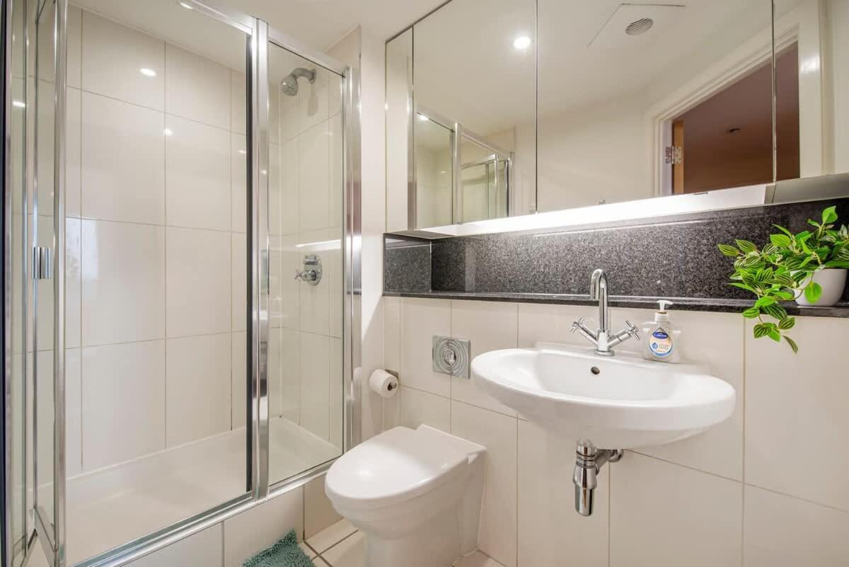 Big Flat Close To Big Ben * London