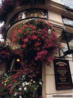 Hotel Astons 3*