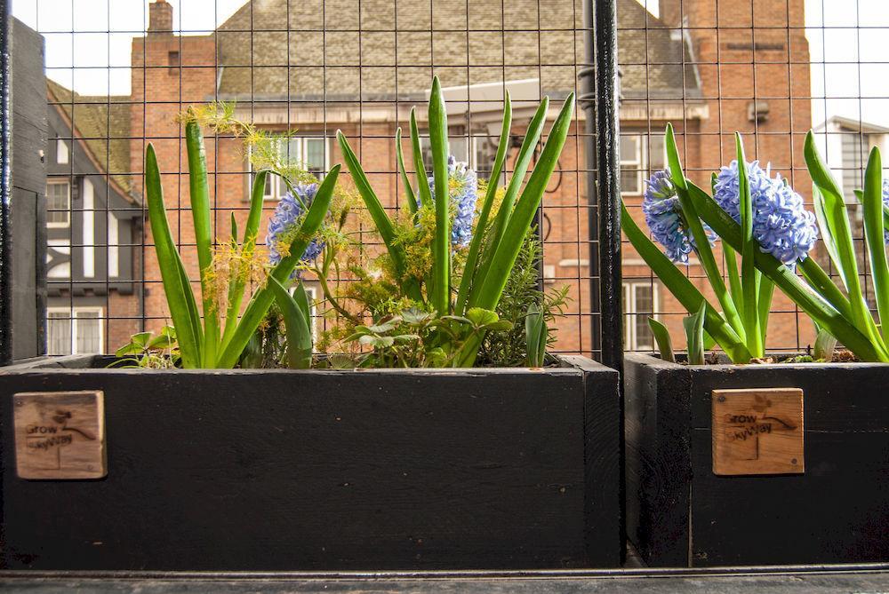 The Dictionary Hostel, Shoreditch, Hostel London