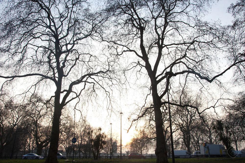 The Mayfair Collections 4* Londen