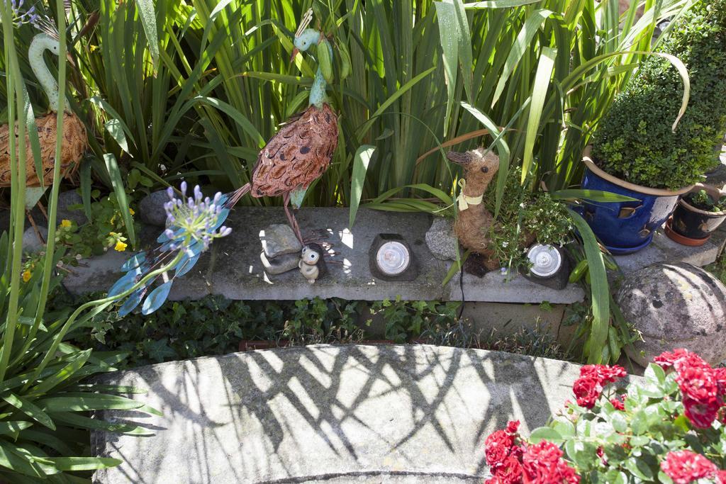 Melrose House Guest house 4*