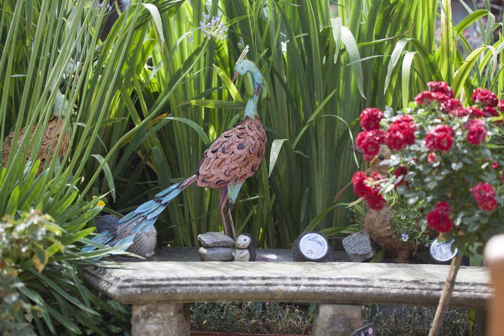 Melrose House Guest house 4*