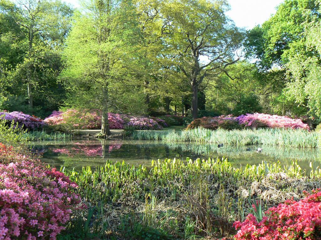 Guest house Londonhomegardens London