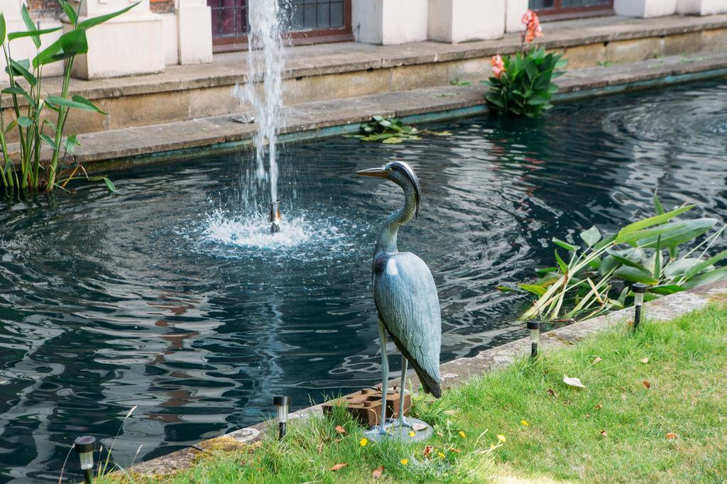 Hostal Safestay Kensington Holland Park (adults Only)