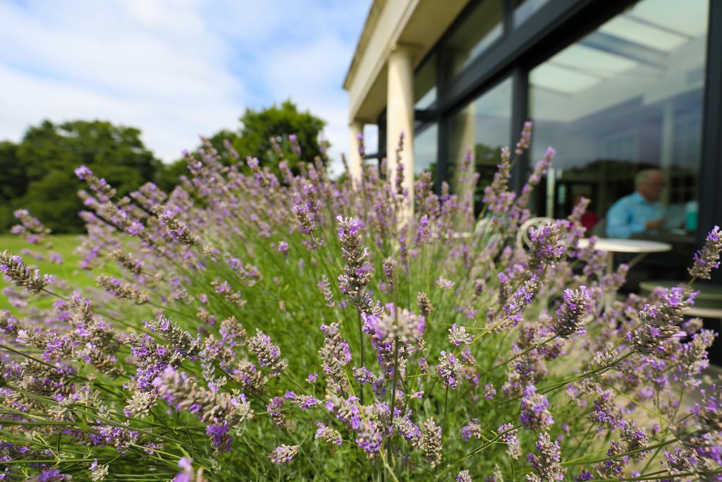 Hotel Du Vin Cannizaro House Wimbledon
