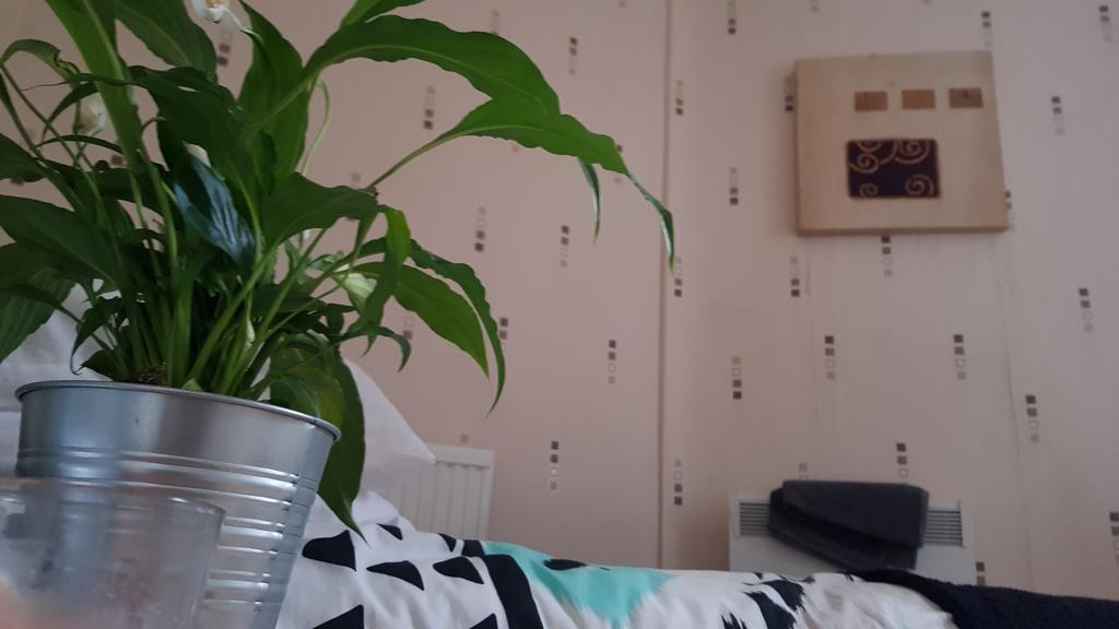 Vauxhall Tour Guest house London