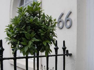 Belgravia Gasthof 4*