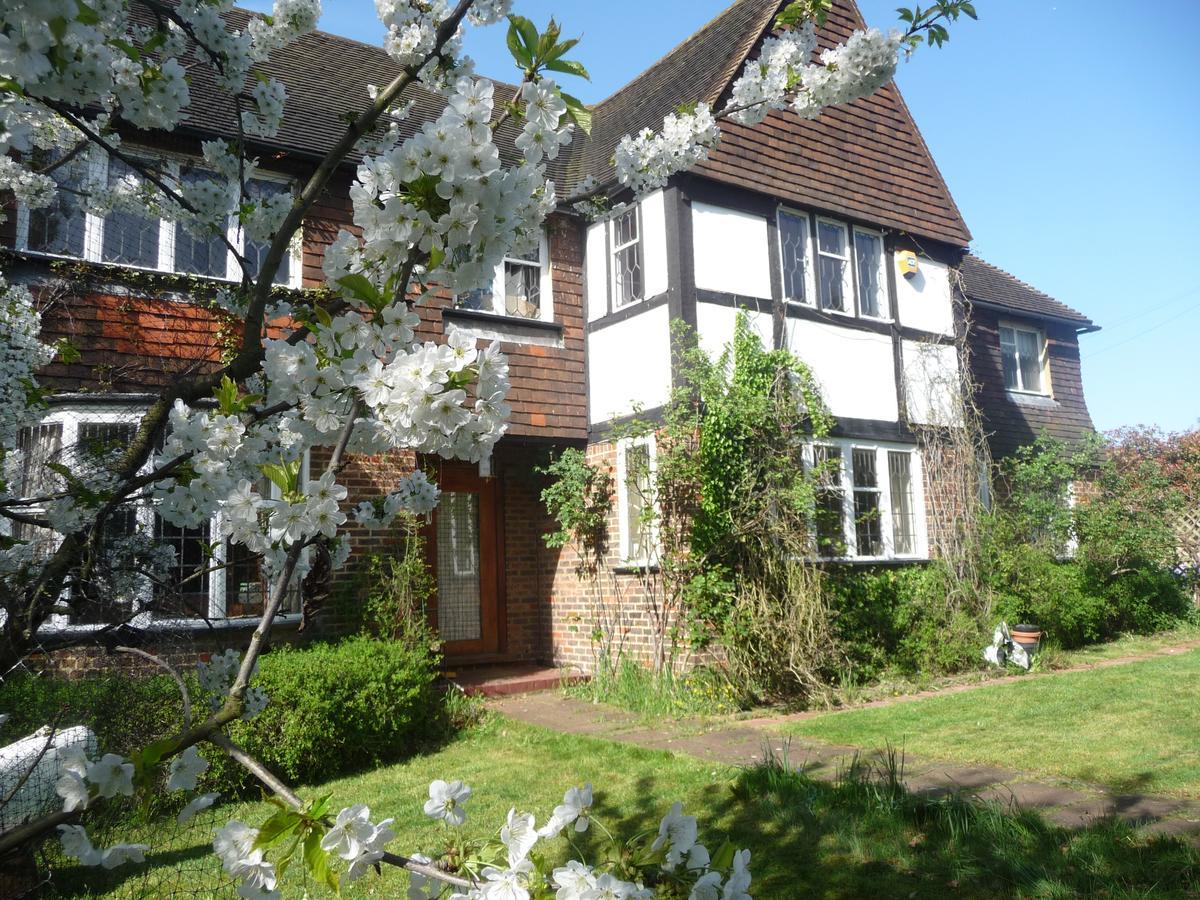 Bed & Breakfast Forest London