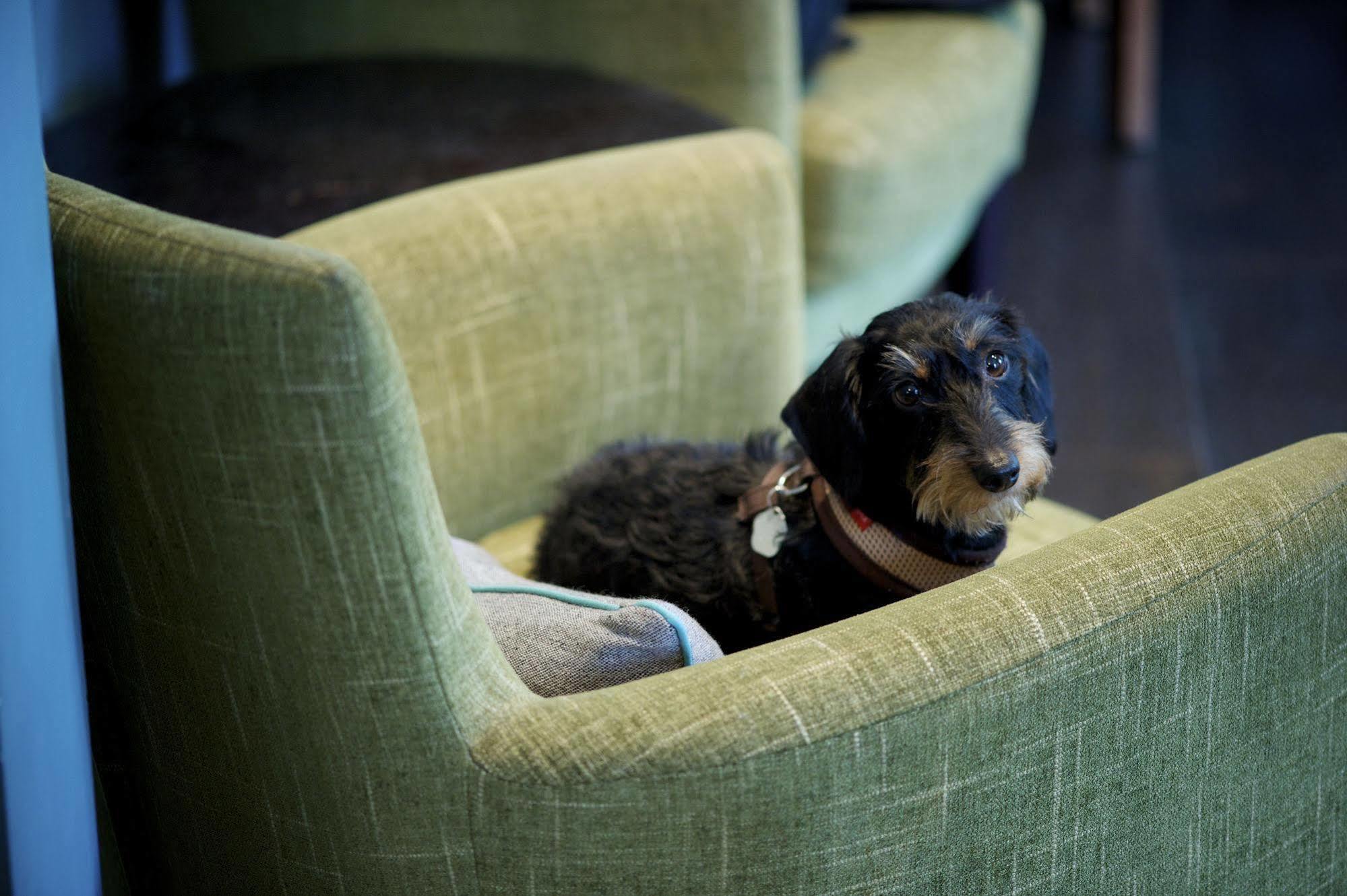 The - Putney 4*