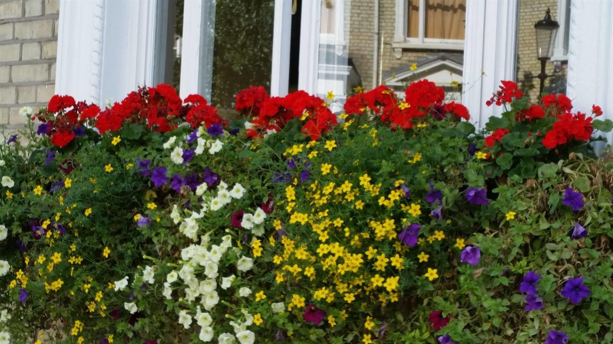 Sara Bed & Breakfast Londen
