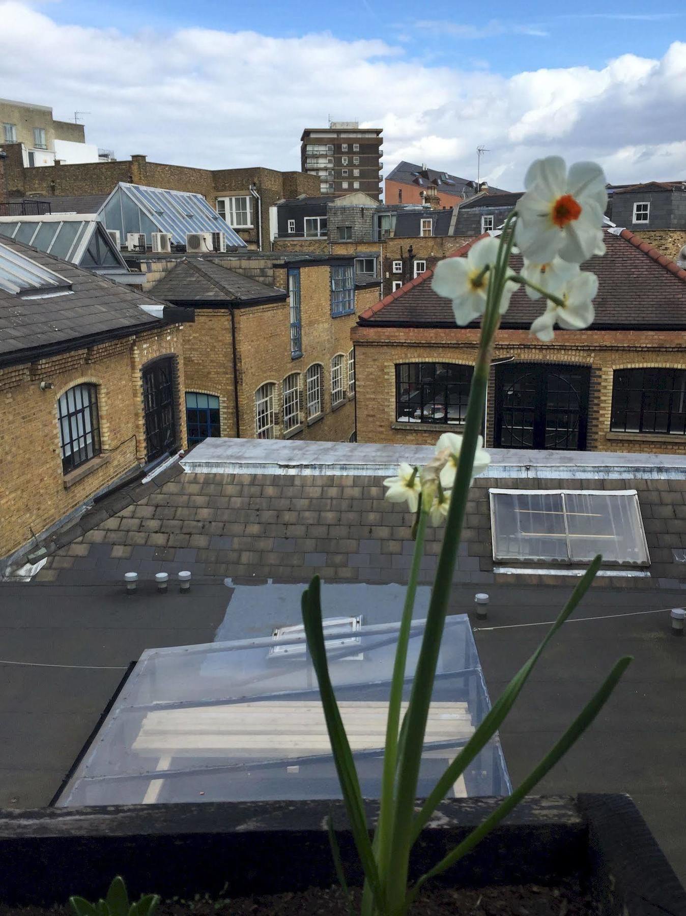 The Dictionary Hostel, Shoreditch, Hostel London