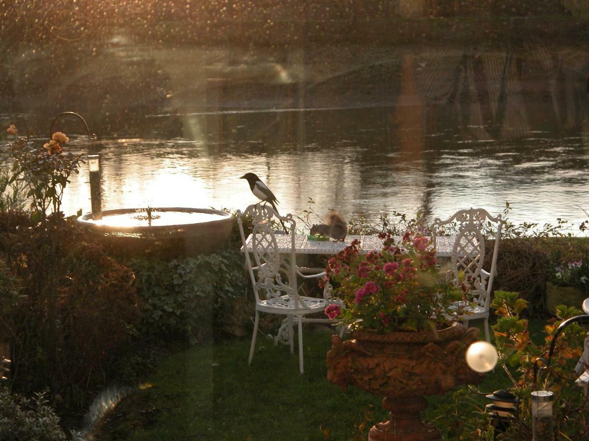 Bed & Breakfast Chiswick Riviera With Free Parking *
