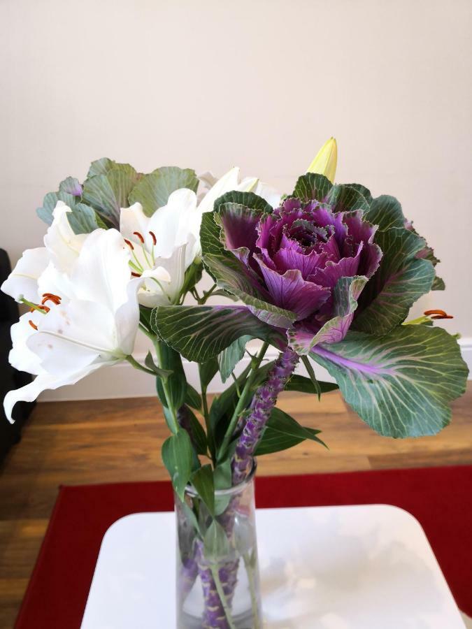 Rose 4 At Hammersmith Apartment London