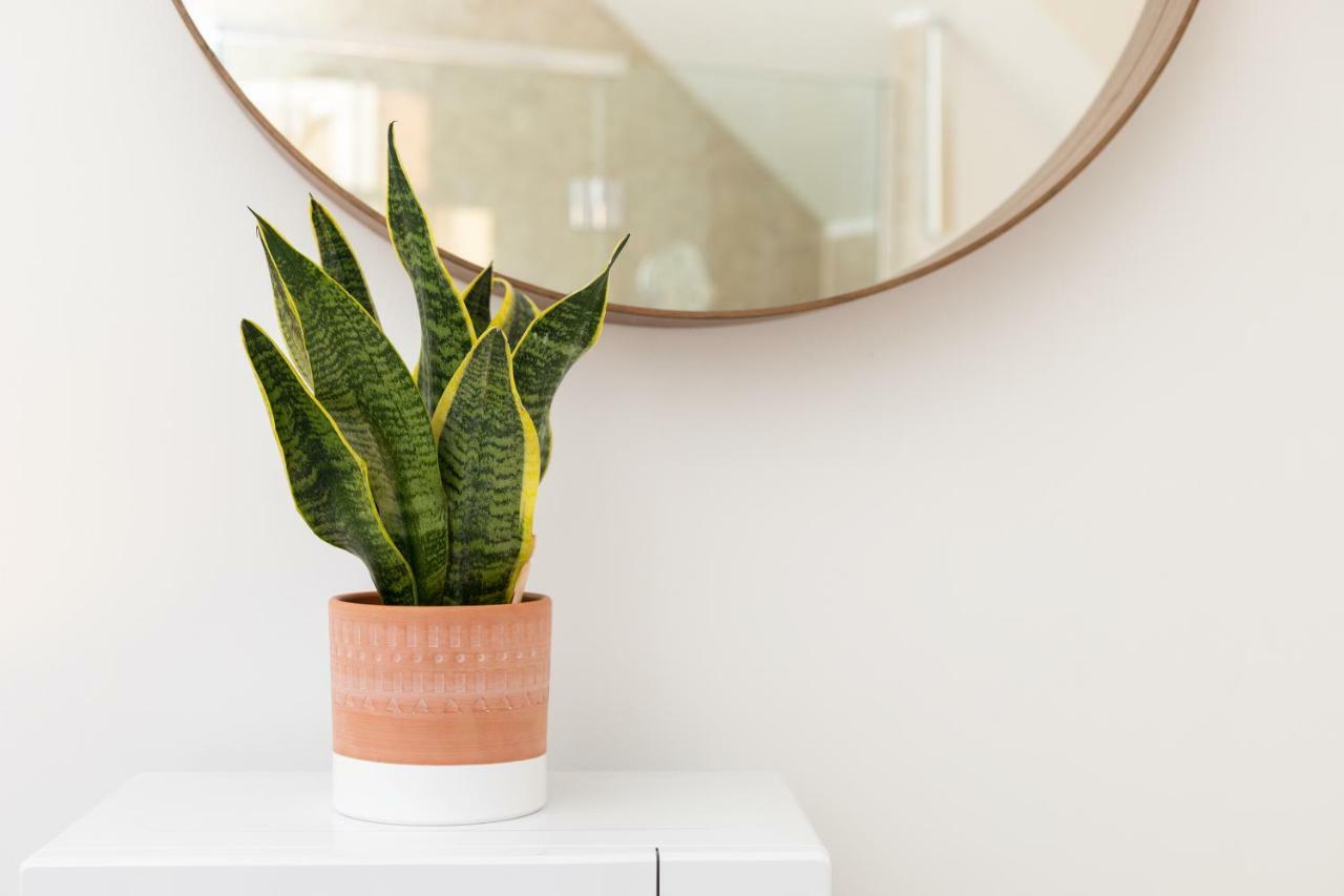 Beautiful Pied-a-terre To Explore Apartment London