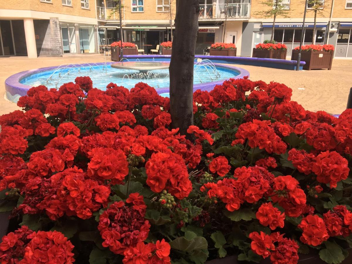 Homestay Adriatic Building London