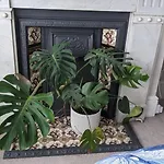 No 25 Comfort And Convenience Ensuite London W7