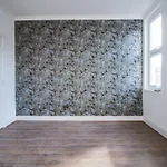 Luxury Brand New Studio