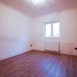 Luxury Brand New Studio