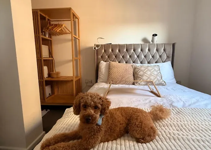 Room Near Airport Dog Lovers Welcome