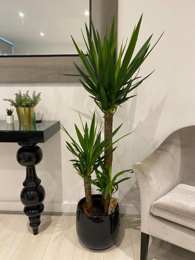 Apartahotel Kings Road With En-suite Bath Londres