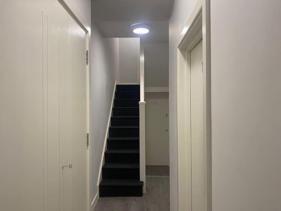 Appartement Private Garden 1bed Studio Apart Battersea Perfect For Coupled Or Solo Travellers Pet Friendly Free Netflix & Wifi Londen