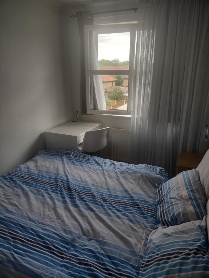 Quiet And Peaceful Double Bedroom In A Nice House With A Very Large Patio Londres