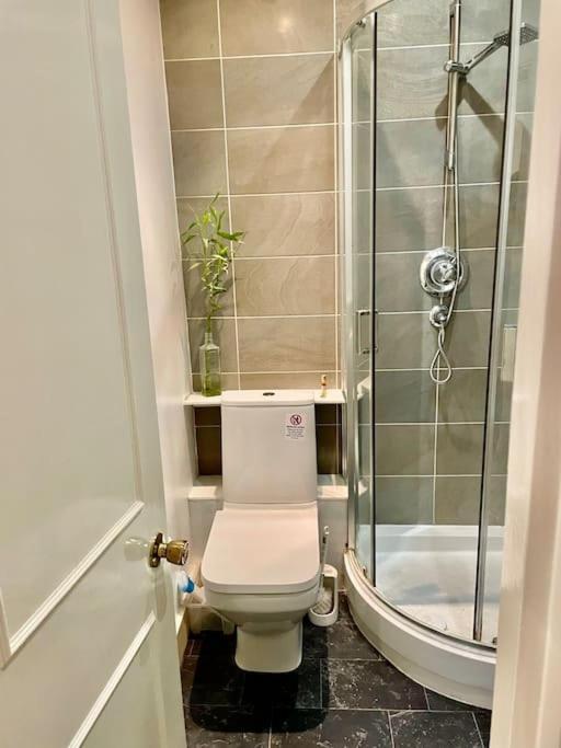 Spacious Flat With Huge Patio In Central London