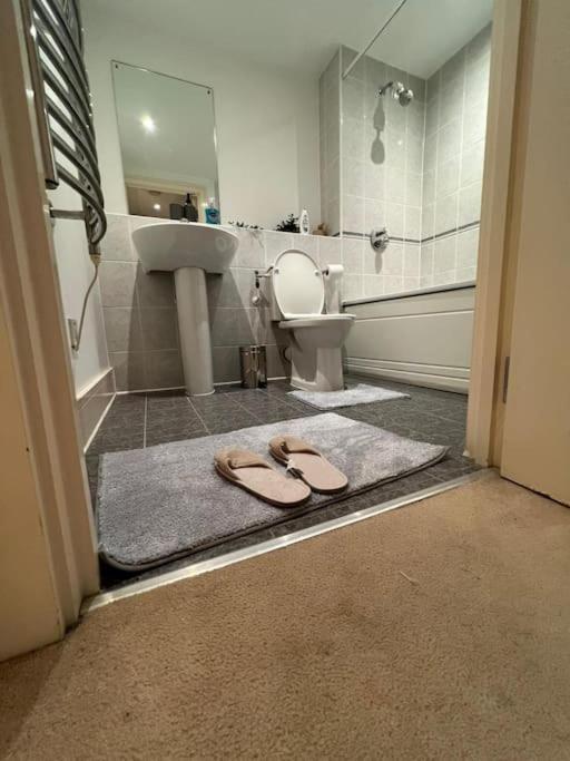 One Double Bedroom On Chelsea Bridge! London