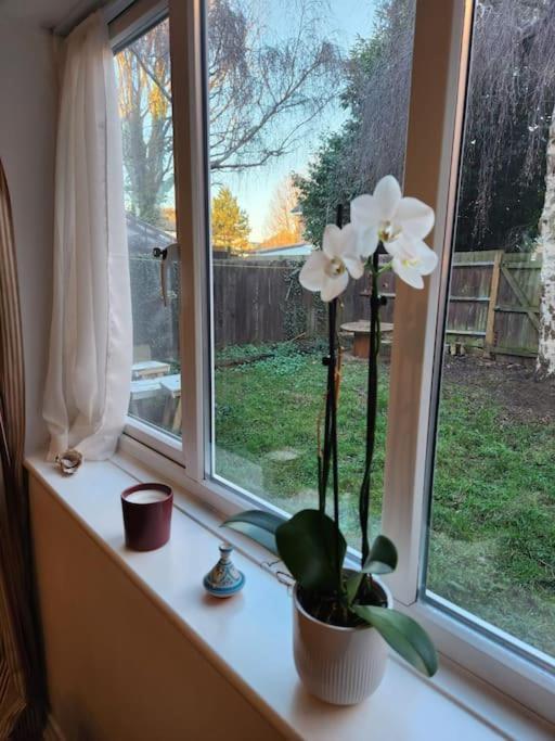 Amazing 1 Bed Flat, Sw19