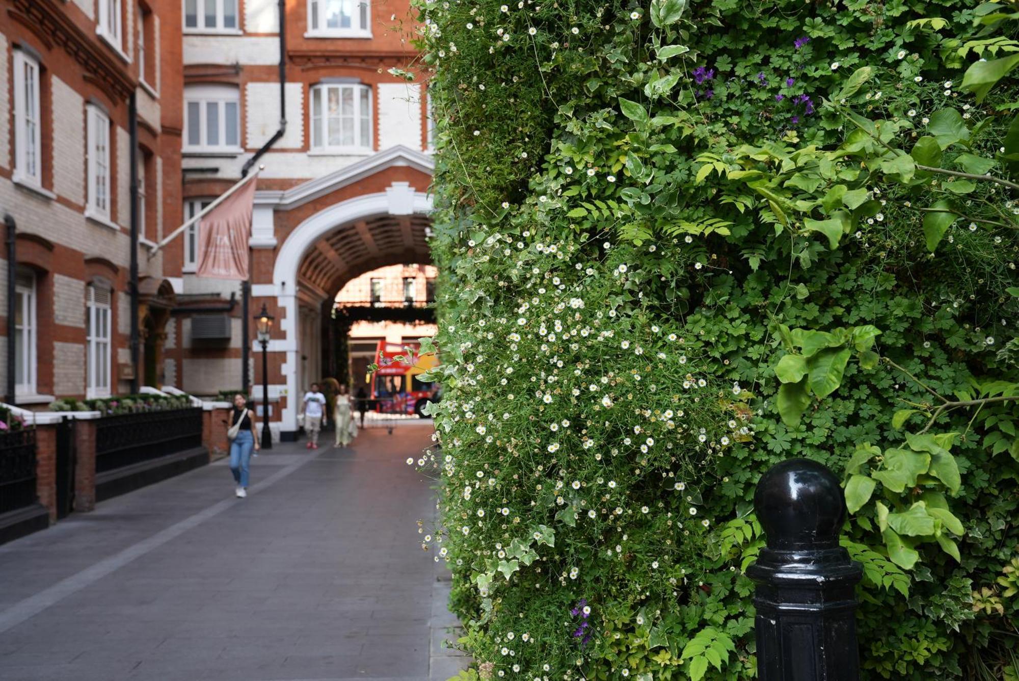 St. James' Court, A Taj Hotel, 4* Londres