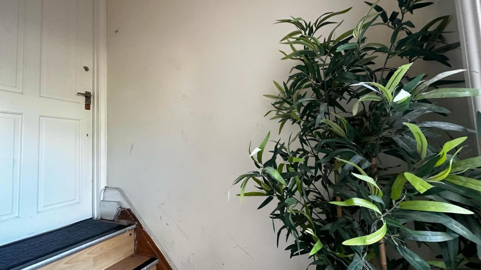 Apartment Cosy Flat Chelsea London