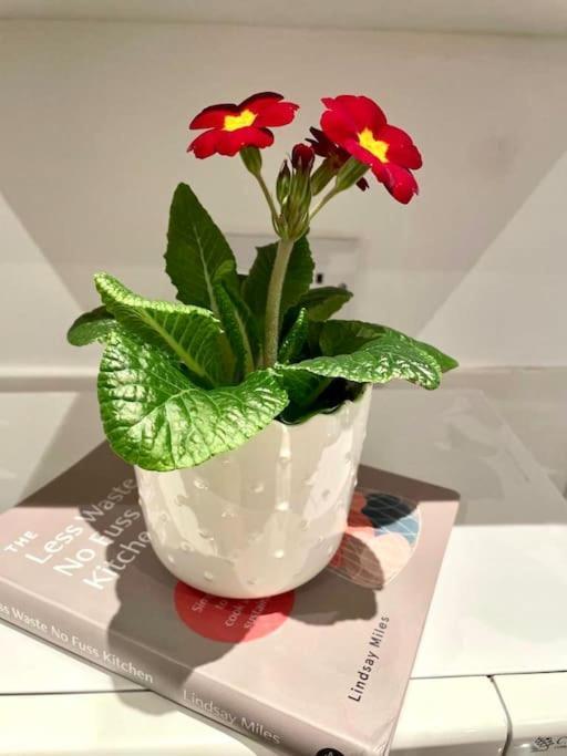 1 Bdr Flat- Harry Potter Themed * Londres