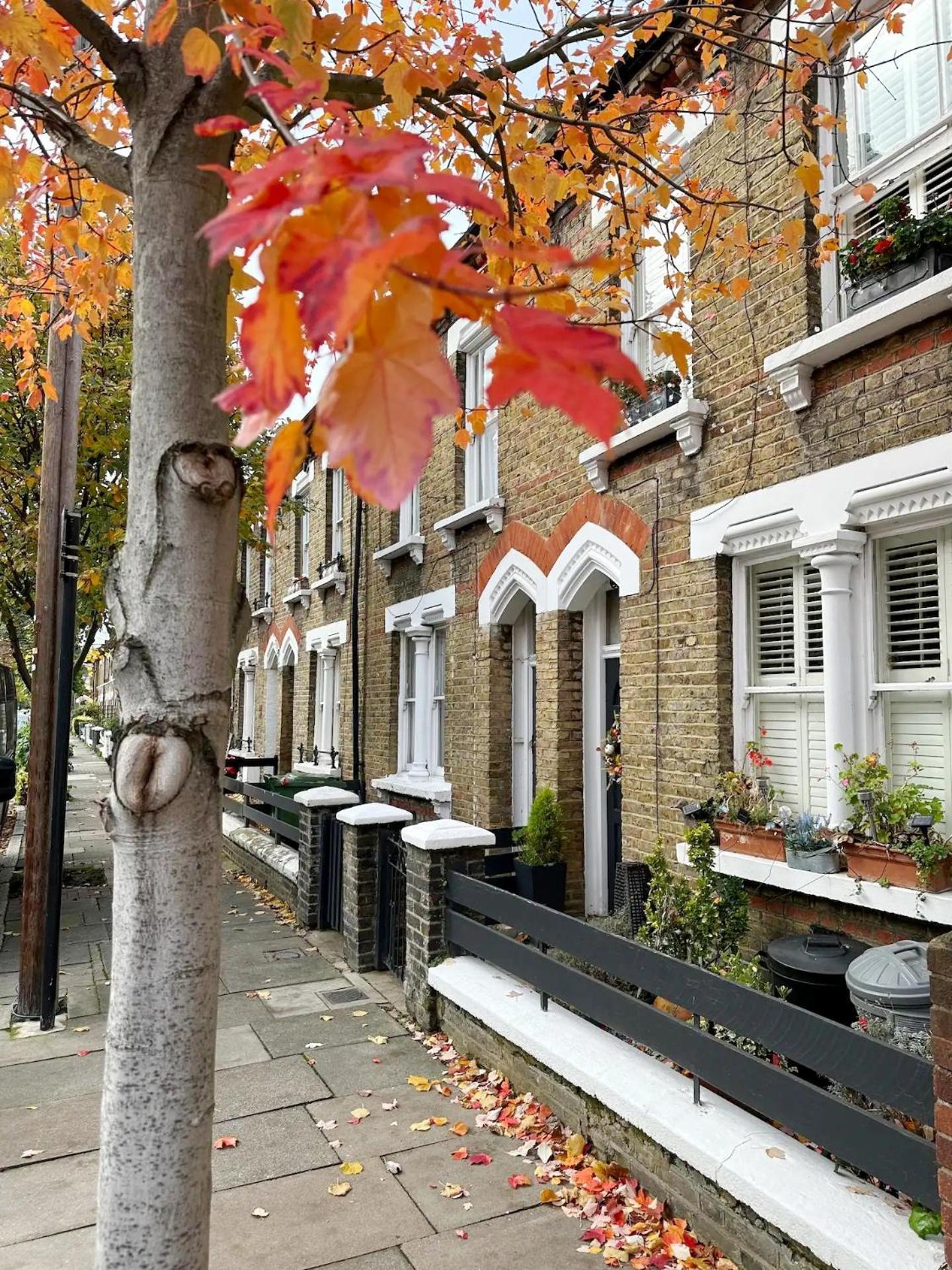 Charming In Battersea Appartement
