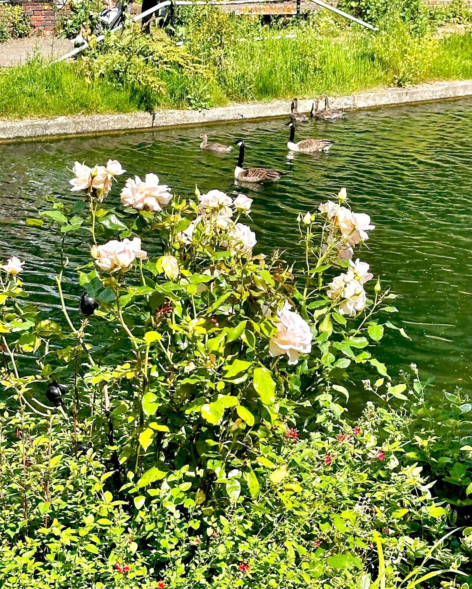 Amazing Location - Of London- 2 Bedroom Stunning Canal View House With Private Garden,parking & Balcony Appartement Londen