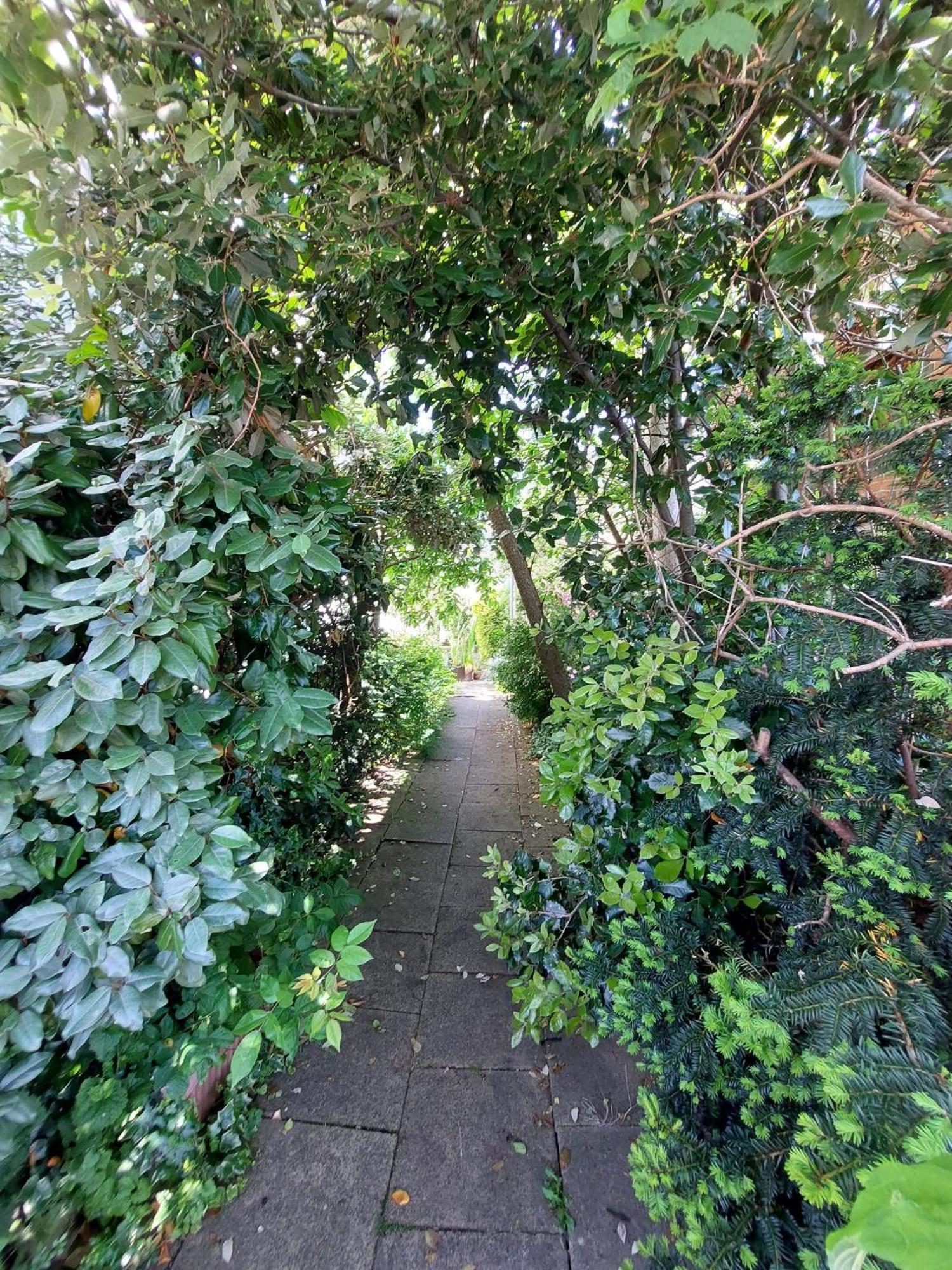 Ferienhaus Wimbledon Village *