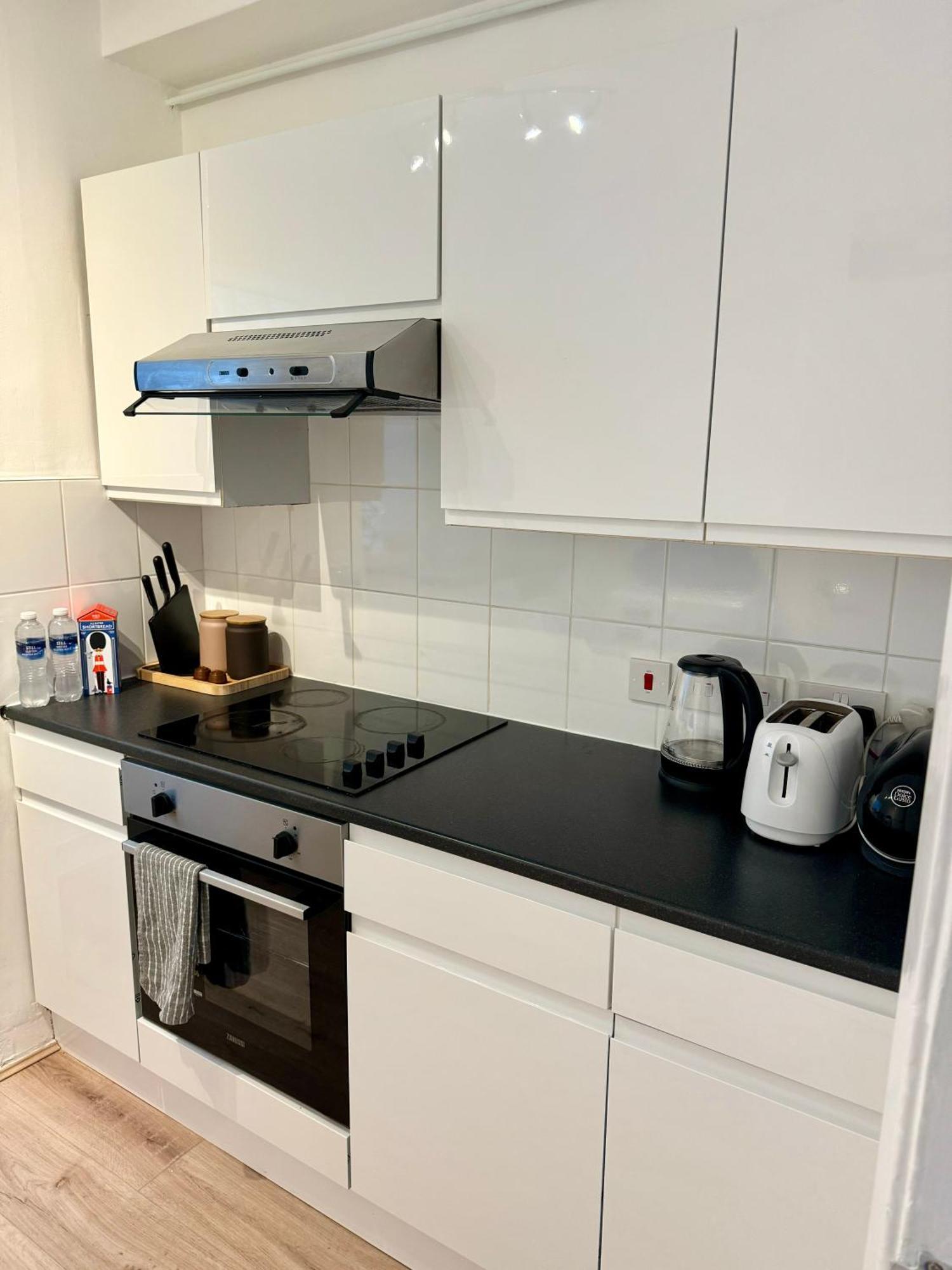 Apartment 2 Bedroom Next To Euston Station London
