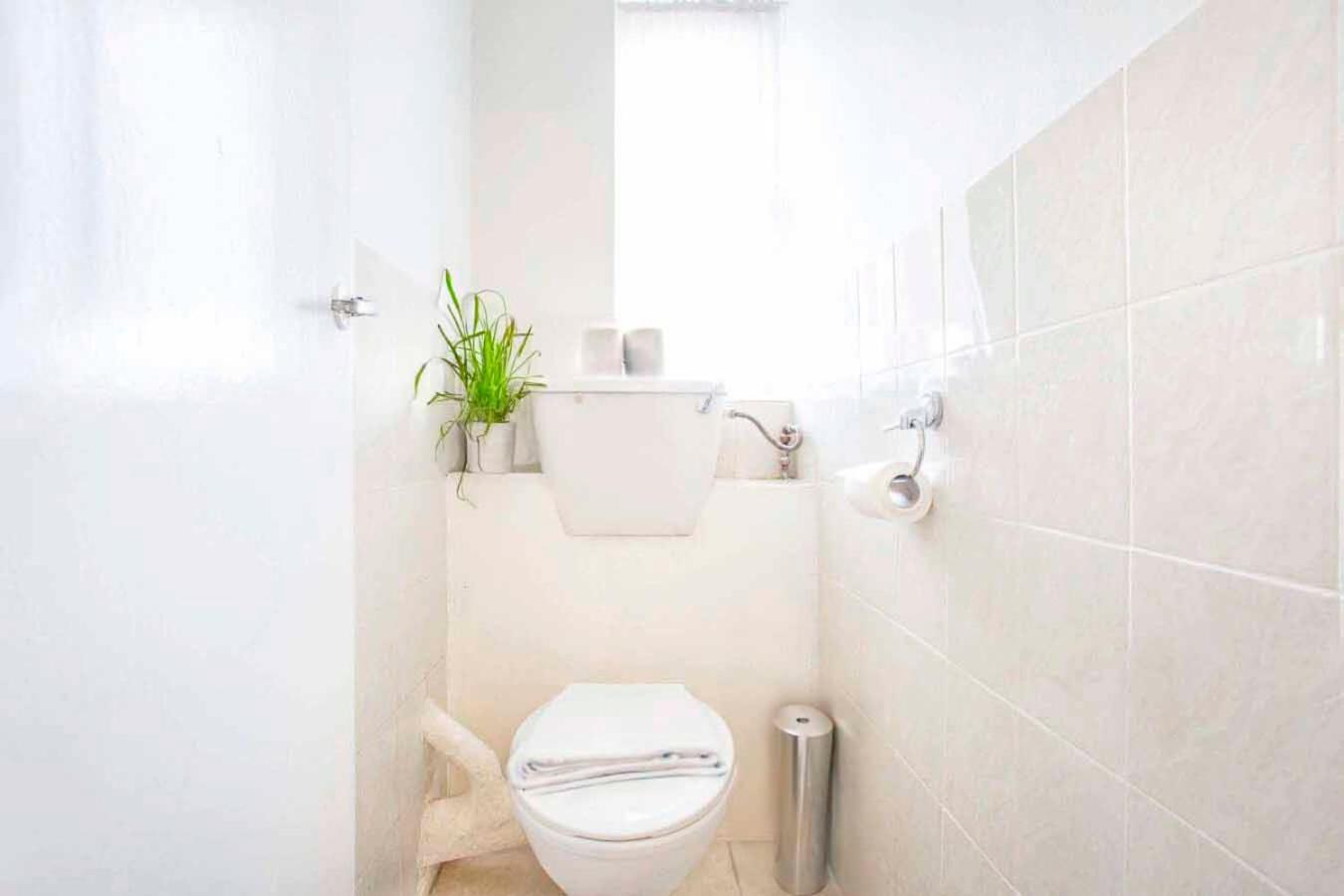 Apartment 3 Bed Hackney Flat, 15 Minutes From Clissold Park *