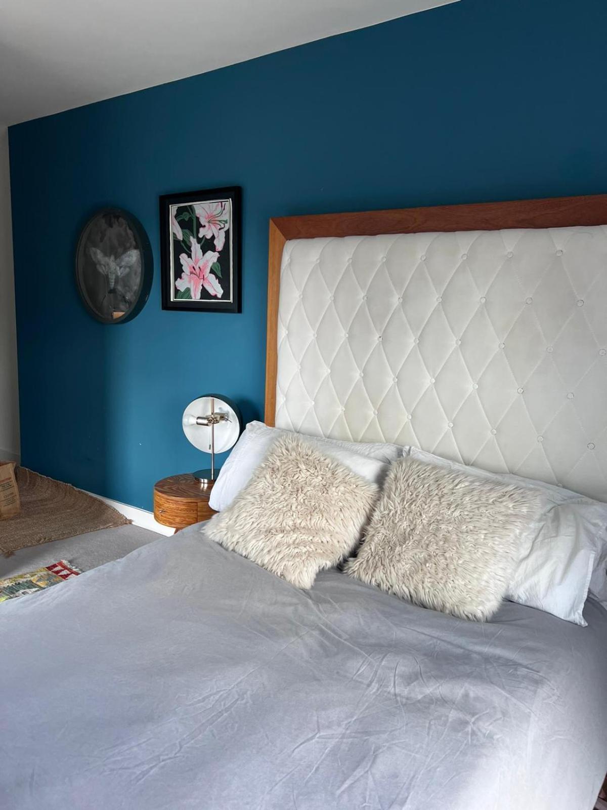Dalston Jungle Homestay *
