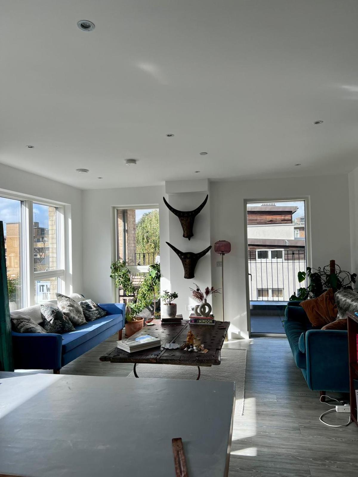 Dalston Jungle Homestay