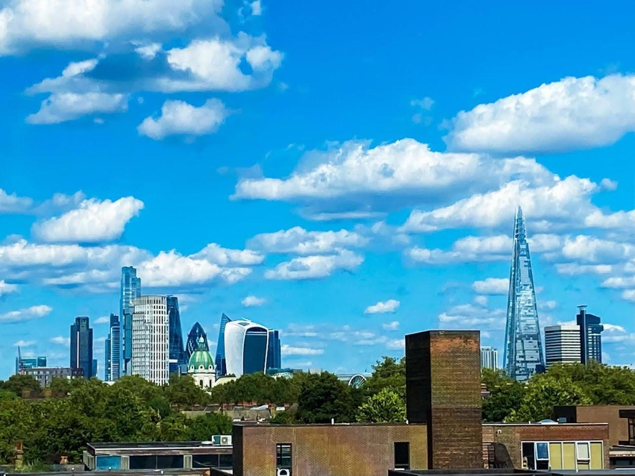 Homestay Large With Skyline View London