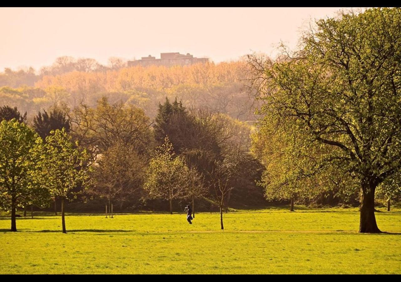 The Nest Of Forest Hill