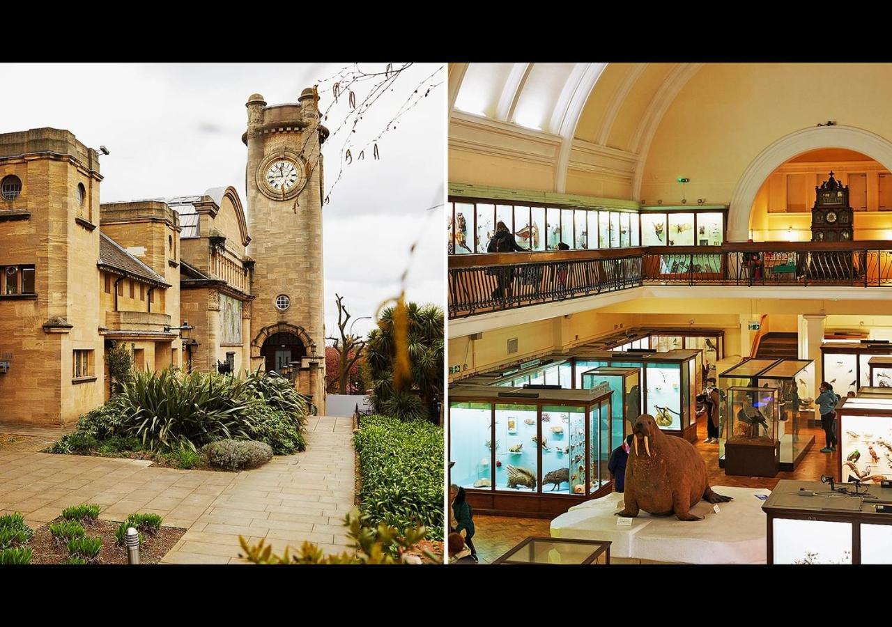 Apartment The Nest Of Forest Hill London