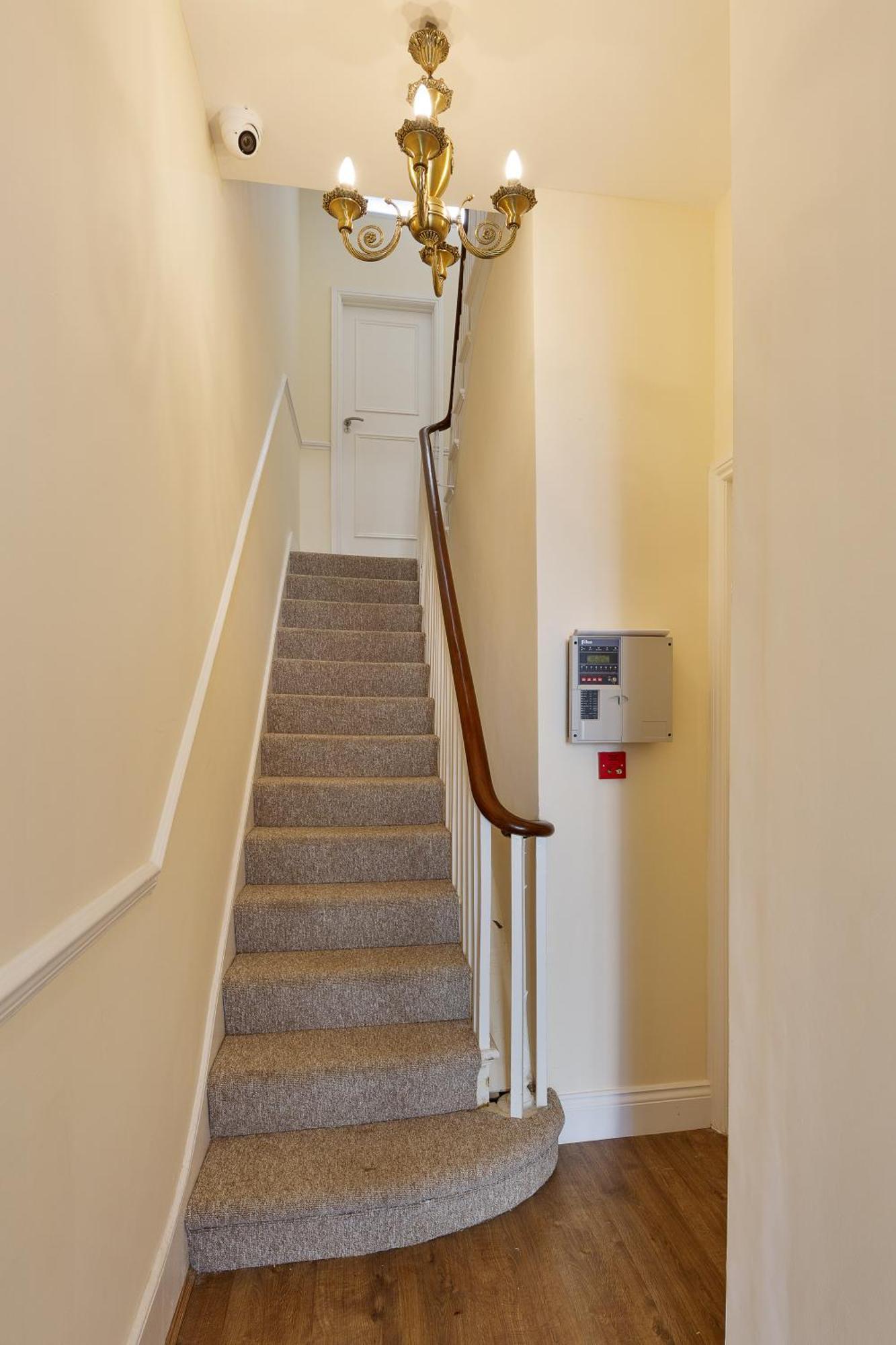 Apartment Beautiful Flat - Shepherds Bush Westfield London