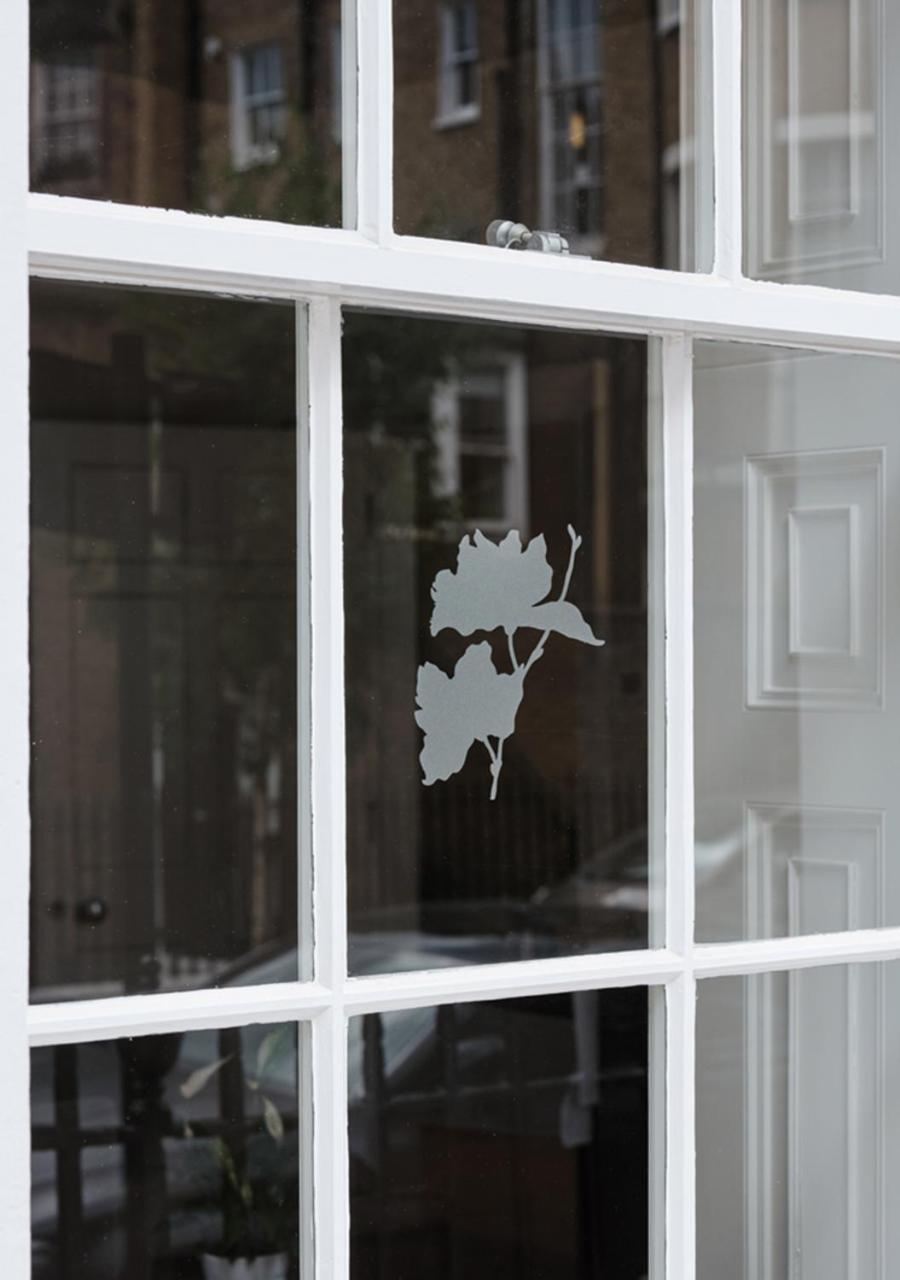 Montagu Place Hotel Londres