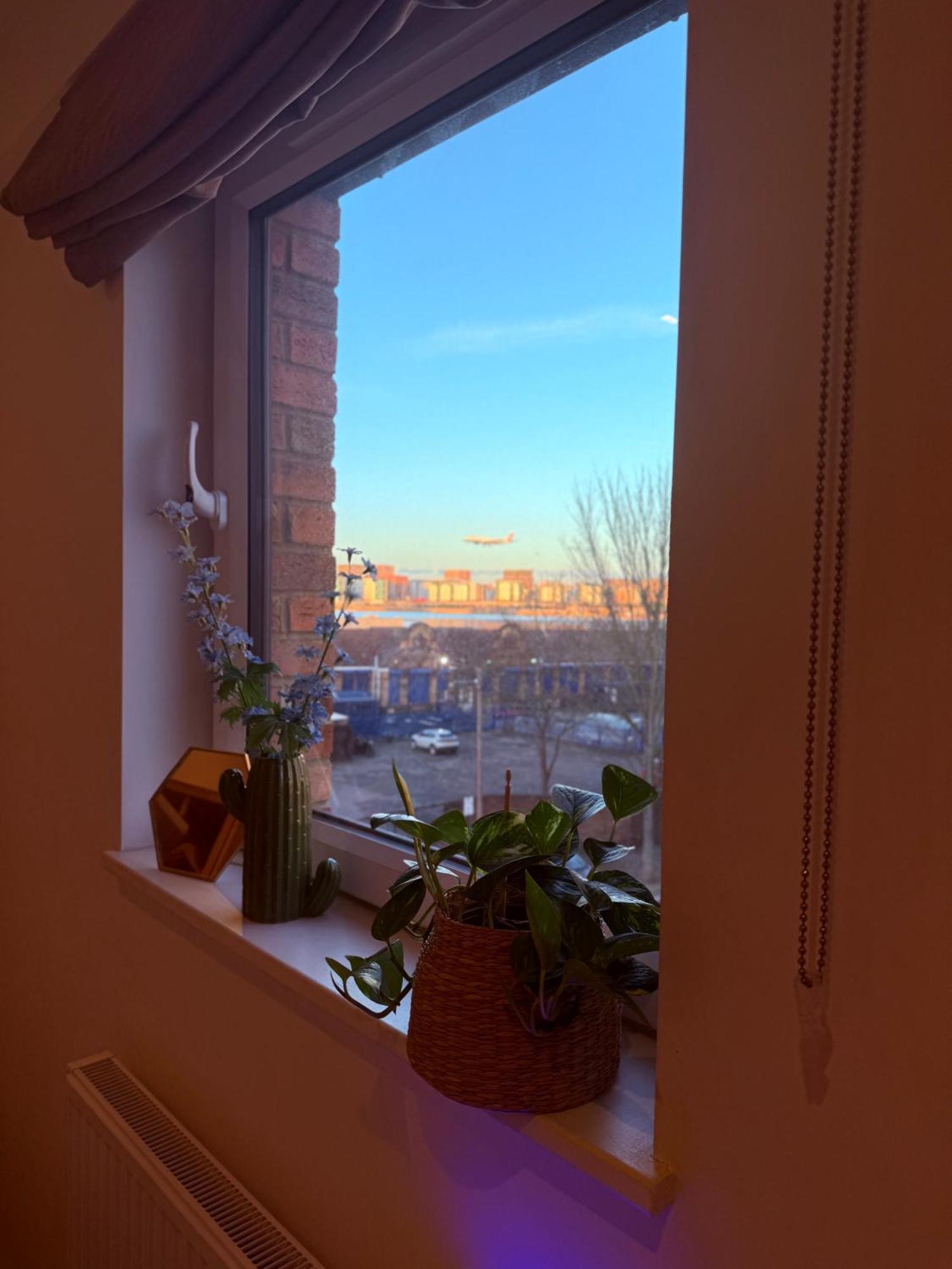 Bed & Breakfast Near Airport Dog Lovers Welcome *