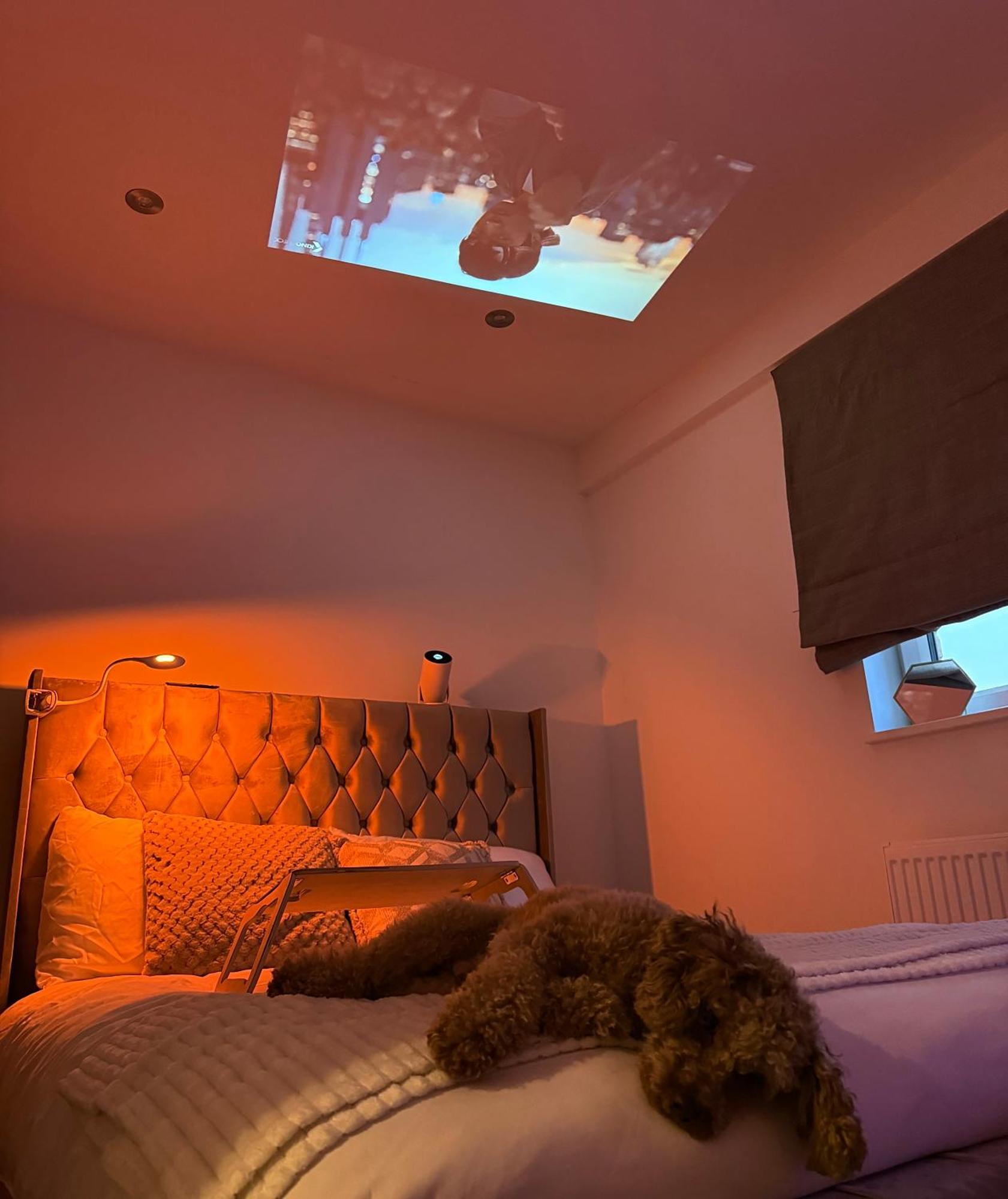 Bed & Breakfast Near Airport Dog Lovers Welcome London