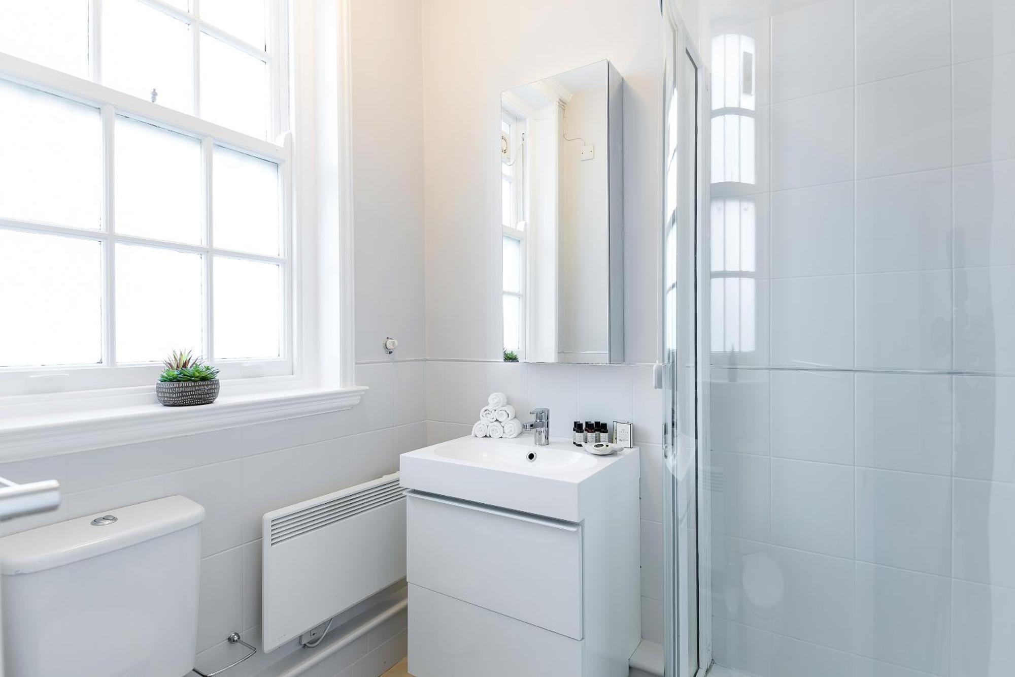 Urban Chic - Dorset Street Apartment London