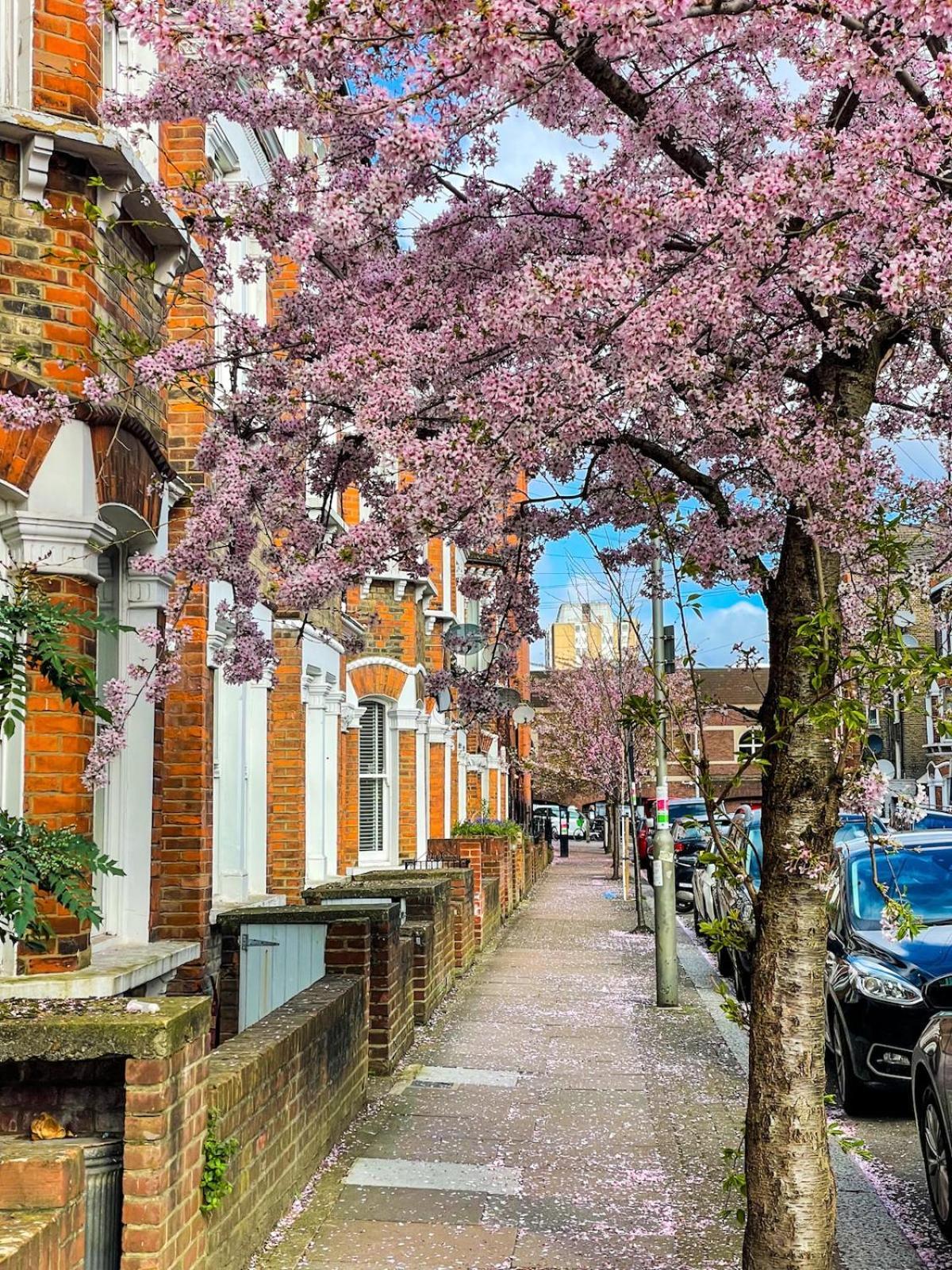 Apartment Bright Modern Large 1 Bed Flat In Battersea Clapham Junction