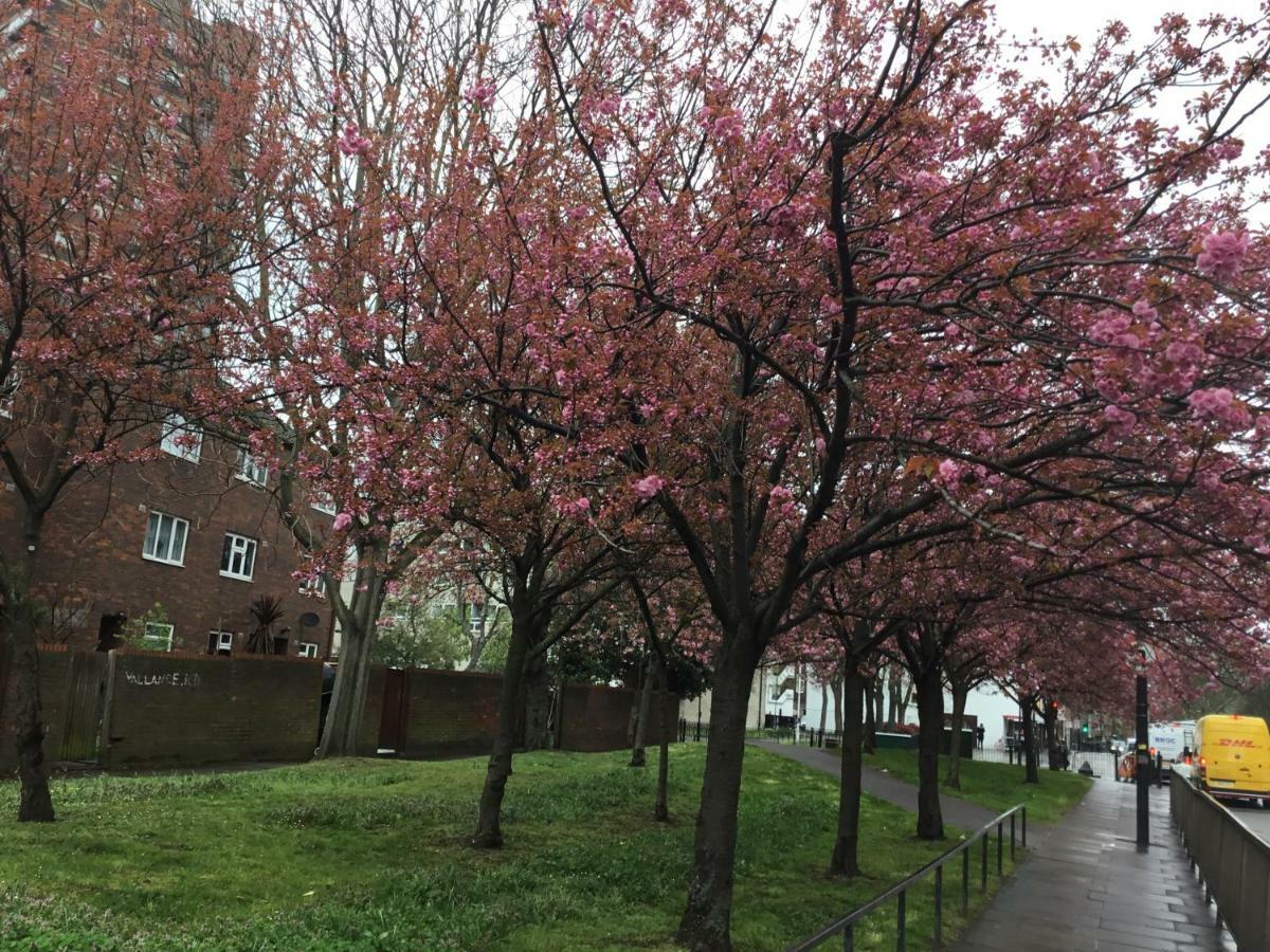 Al Iram Guest house London